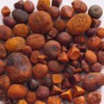 Cow gallstone and uses