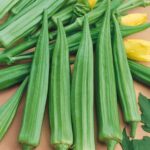 Emerald Okra - 1 pound