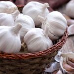 How to Grow Garlic
