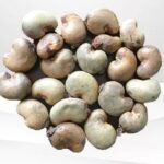 Top Raw Cashew Manufacturers in India