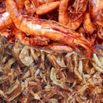 Your favorite crayfish plug for cheap and…
