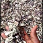blackstone-flower-marapasi_orig